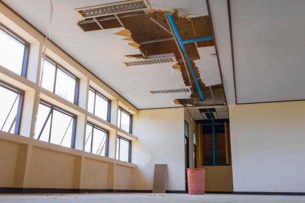Best Flood restoration services  in Lakeland, GA