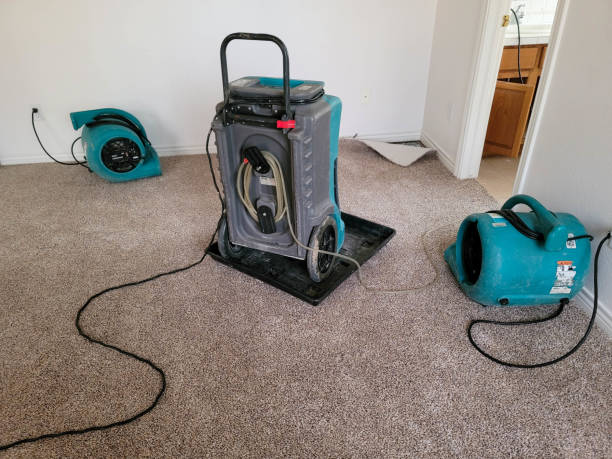 Best Carpet water damage restoration  in Lakeland, GA