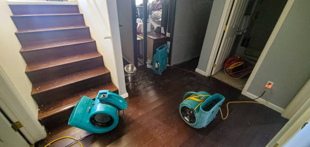 Best 24-hour water damage restoration  in Lakeland, GA