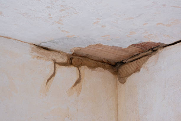 Best Water damage restoration near me  in Lakeland, GA