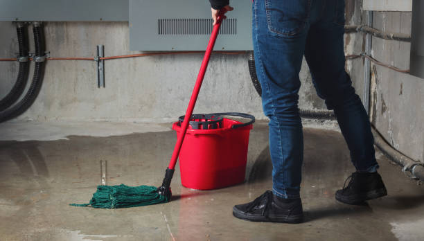 Best Basement water damage restoration  in Lakeland, GA