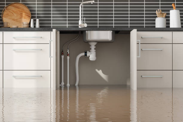 Best Professional water damage repair  in Lakeland, GA